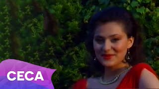 Ceca  Mokra trava  Official Video 1991 [upl. by Jeffery]