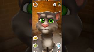 Talking Tom Cat shorts cat funny [upl. by Mahmoud]