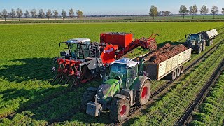 XXL Harvest Special  Franzen Agriculture  Potatoes amp carrots  Planting tulips amp wheat [upl. by Yekcim]