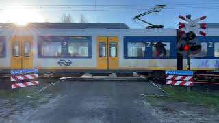 Spoorwegovergang BredaPrinsenbeek  Dutch railroad crossing [upl. by Ebneter588]