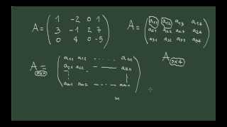 1 Definición de matriz y tipos de matrices [upl. by Eixela918]