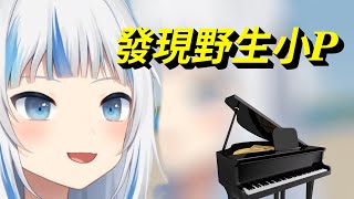 【Gawr Gura】Pan Piano 出現在鯊鯊的直播～ 鯊鯊表示說？【中文字幕】 [upl. by Mendelsohn870]