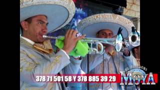 LA POLLERA COLORADA CUMBIA MARIACHI MOYA [upl. by Balliett232]