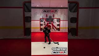 POV You turn your basement into HockeyTown Powered by HockeyShot🔥 hockeyshot superdeker [upl. by Rama430]