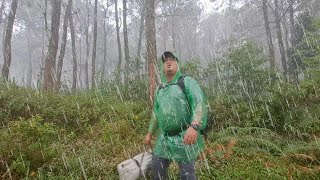 Solo Camping in Heavy Rain 🌧 🌩 Struggle in Heavy Rain [upl. by Stead]