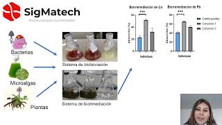 Postulacion StartUp Ciencia 2025 [upl. by Caroline]