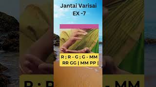 quotLearn Carnatic Music Jantai Varisai 7 shorts learncarnaticmusic carnaticmusiclessons [upl. by Randall]