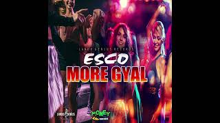 Esco  More Gyal Audio Visualizer [upl. by Charlean]