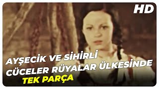 Ayşecik ve Sihirli Cüceler Rüyalar Ülkesinde  Eski Türk Filmi Tek Parça [upl. by Nonnerb843]