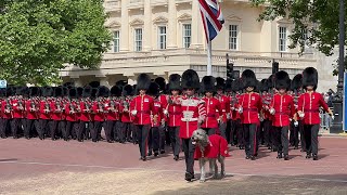 Troops and Massed Bands Enter Horse Guards Parade For Trooping the Colour [upl. by Heng]