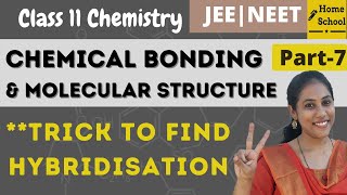 Trick to find Hybridisation  Chemical Bonding class 11  Part 7 [upl. by Feil817]