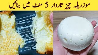 Mozzarella Cheese Recipe [upl. by Sarat]