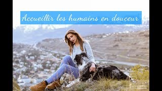 Mon chien saute sur les gens  Cheryl Baker [upl. by Wehtta]