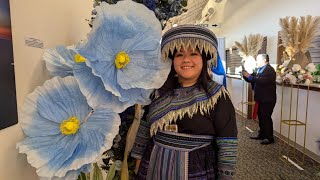 Wausau Hmong New Year 2025 Xim Xaus Chinse ViolinErhu [upl. by Wardieu253]