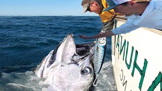 Amazing Longline GIANT BlueFin TUNA Big Catch Fishing on The Sea [upl. by Creighton]