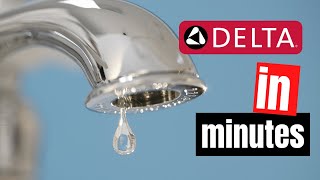 Stop a Dripping Single Handle Bathroom Faucet  Delta Washerless [upl. by Morly]