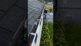 How to clean your Gutters [upl. by Airekat803]