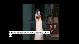 los pingüinos de madagascar capitulo completo [upl. by Naut]