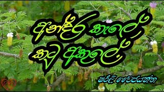 🔴 අන්දර කැලේ කටු අකුලේ Andara kele katu akule sihinayasoya music sinhalasongs [upl. by Ruperta]