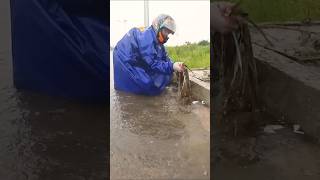 Remove Trash And Debris Clog On Road unclog flashflood clogged flood satisfying [upl. by Woodsum141]