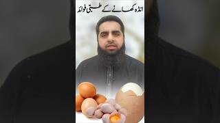 Health benefits of eating eggs Safdar Islamic Tube [upl. by Cohla]