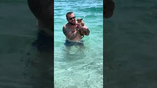 Big Papa Teaches Little Cute Dog to Swim chihuahua [upl. by Holmun]