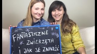 Fantastyczne zwierzęta i jak je znaleźć książka i film bez Harrego Pottera KrótkaPrzerwa10 [upl. by Dnomyad]