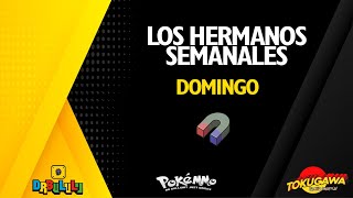 PokeMMO ⏺ Los Hermanos Semanales  Domingo NPC Domingo [upl. by Hubble]