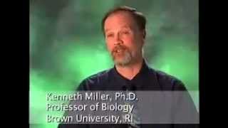 Creationism  Hear the Scientists Respond [upl. by Woods]