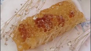 big honeycomb eating asmr [upl. by Ainoda]