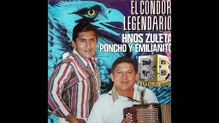 💚1977 🎶EL CONDOR LEGENDARIO➡ PONCHO ZULETA EMILIANITO ZULETA bogota vallenatosclasicos [upl. by Barmen]