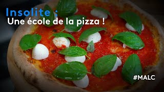 Insolite  une école de la pizza [upl. by Iron]