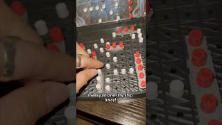 The Battleship board game has a way of making time fly by braingames vlog momlife [upl. by Crescentia928]