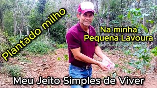 Plantando Milho e Abóbora na minha Pequena Lavoura  Meu Jeito Simples de Viver [upl. by Niamreg118]