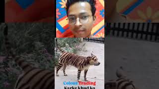 New look color trending funnystutus viralmems memes shortvideostatus trandingviralvideo [upl. by Glynnis]