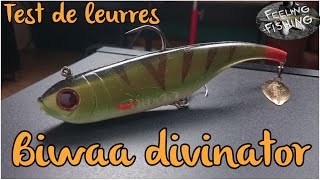 Test de leurres  brochet   Biwaa divinator [upl. by Ativel524]