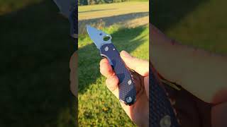 Spyderco Para 3 AWT Shadow Chrome scales lynch clip ti geared backspacer [upl. by Godewyn5]