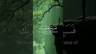 Hazza Al blushi quran quranrecitation راحةنفسية [upl. by Oika]