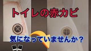 トイレクリーニング 赤カビ除去 福岡市 （福岡県） 博多区 博多駅東 [upl. by Chloette]