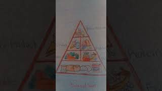 food pyramid drawing  balanced diet food pyramid drawing [upl. by Crawley]