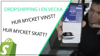 Hur Mycket Vinst  Hur Mycket Skatt  Shopify Dropshipping [upl. by Gabel728]