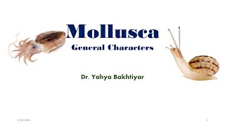 18 General Characters of Mollusca Characteristic Features of Mollusca  What are molluscs [upl. by Noxid763]