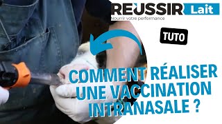 TUTO Comment réaliser une vaccination intranasale [upl. by Lindo]