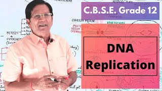 DNA Replication  Grade 12 Biology [upl. by Eyssej66]