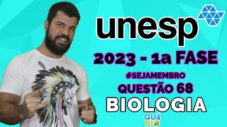 UNESP 2023  Questão 68  Rio Claro Araraquara e São José do Rio Preto cidades paulistas às margens [upl. by Abdulla]