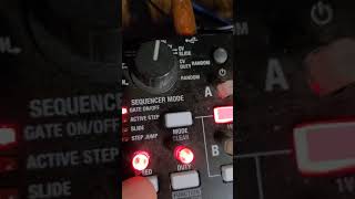 Juno Repair  juno 106 w keystep volca beats sp 303 and moog werkstatt 01 w korg sq1 [upl. by Akenal]