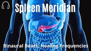 Spleen meridian  Pancreas meridian  Binaural Beats  Healing Frequencies [upl. by Eliott]