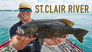 Fishing St Clair River for BIG Summer Smallmouth Bass  Lake St Clair [upl. by Linnea217]