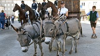 Aktionstage der Landwirtschaftsschulen Salzburg [upl. by Almap]