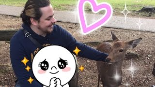 ►Follow Egoraptor and I around NARA PARK with GIRLGAMERGAB [upl. by Atilol]